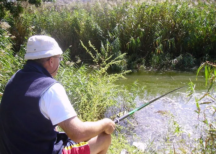 Mechta Family Guest house 4*